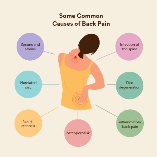 Finding a Pain in Your Back: Guide to Lasting Relief