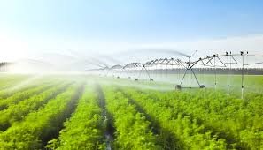 Irrigation Sprinkler System: Maximizing Crop Yield with Smart Watering