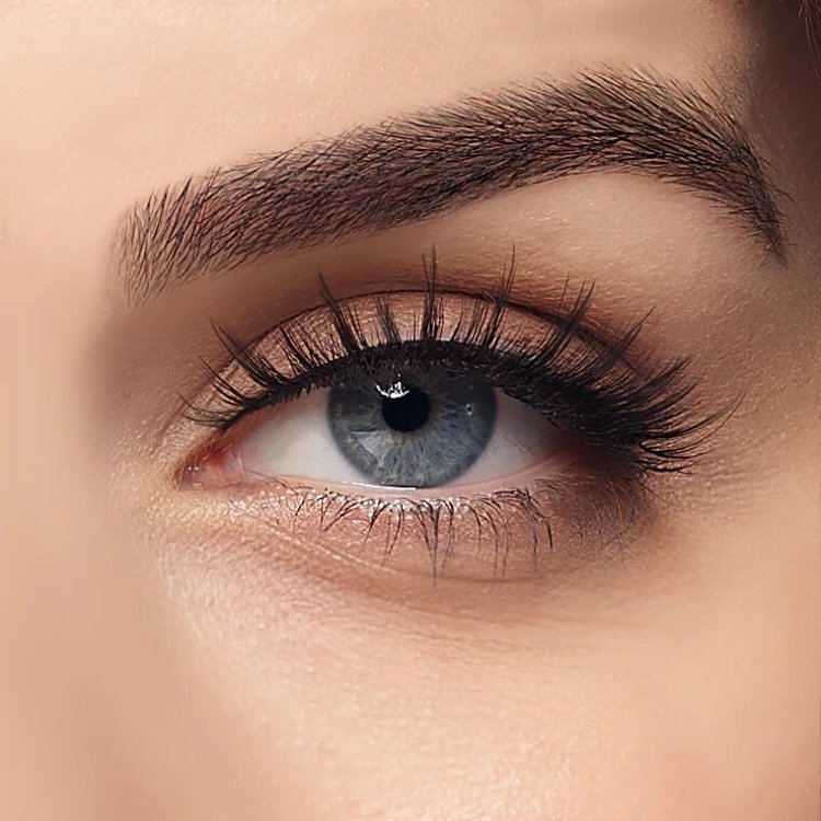 Eyelash Myths Debunked: What Works and What Doesn’t?