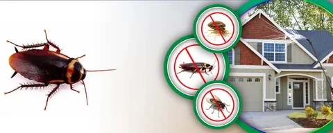 Pest Control Company and Cockroach Control Services