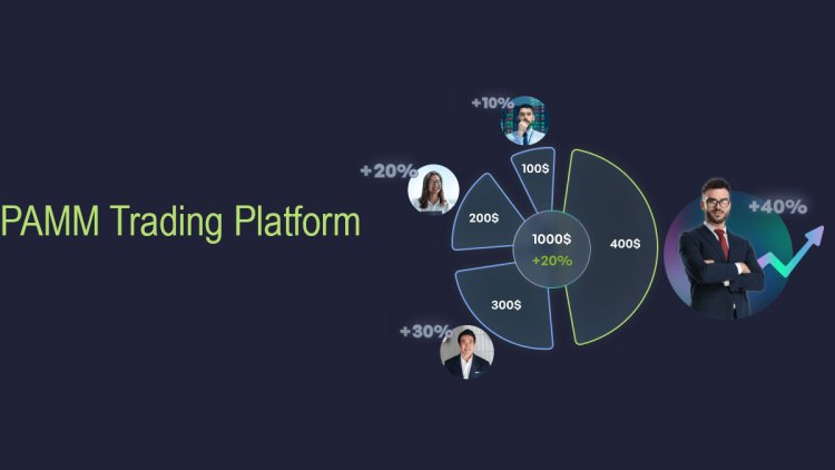 PAMM Trading Accounts in Thailand: How Investors Can Earn Passively