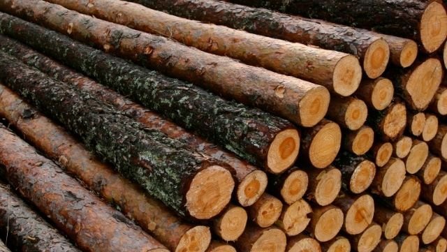 Where to Find the Best Logs for Sale in Bournemouth and Poole