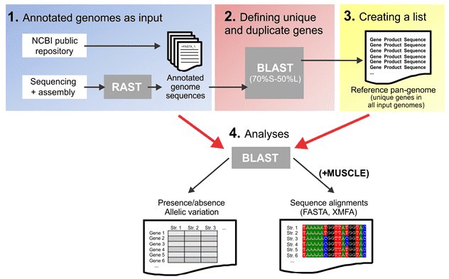 Definition, Sequencing Methods, and Applications of Pan-genome