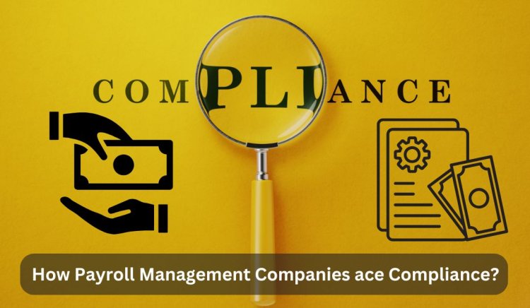 How Payroll Management Companies Ace Compliance