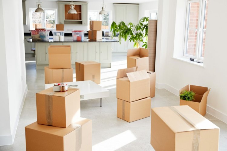 Top Moving Companies in Walled Lake: Your Guide to a Stress-Free Move