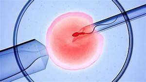 How to Choose the Best Fertility Doctor for Your Journey?