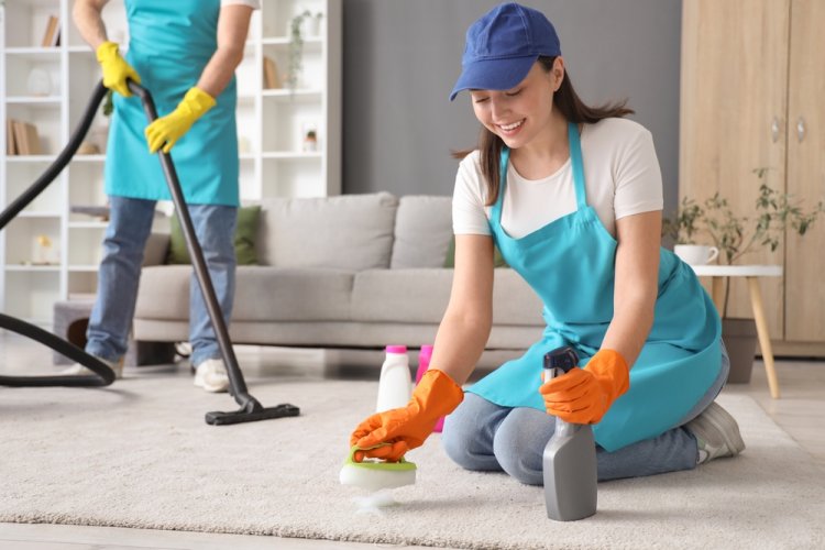 DIY vs. Professional Carpet Cleaning in Miami: What’s Best for Your Home?