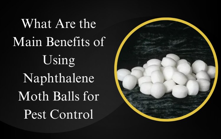 What Are the Main Benefits of Using Naphthalene Moth Balls for Pest Control