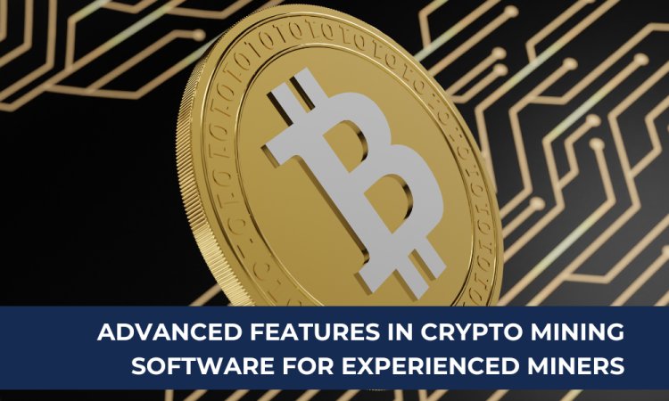 Advanced Features in Crypto Mining Software for Experienced Miners