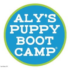 alyspuppybootcamp